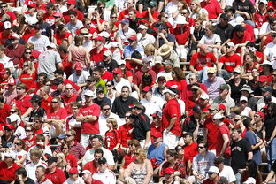 九游9游-体育赛事观众满意度影响因素研究，体育赛事关注度