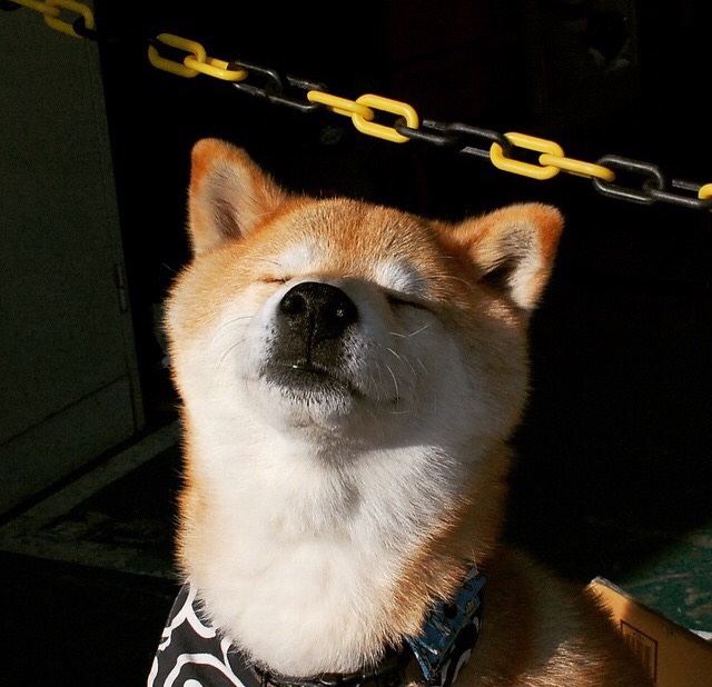 九游娱乐APP-西甲俱乐部采用国内非传统渠道提升潮流形象，西甲俱乐部名称