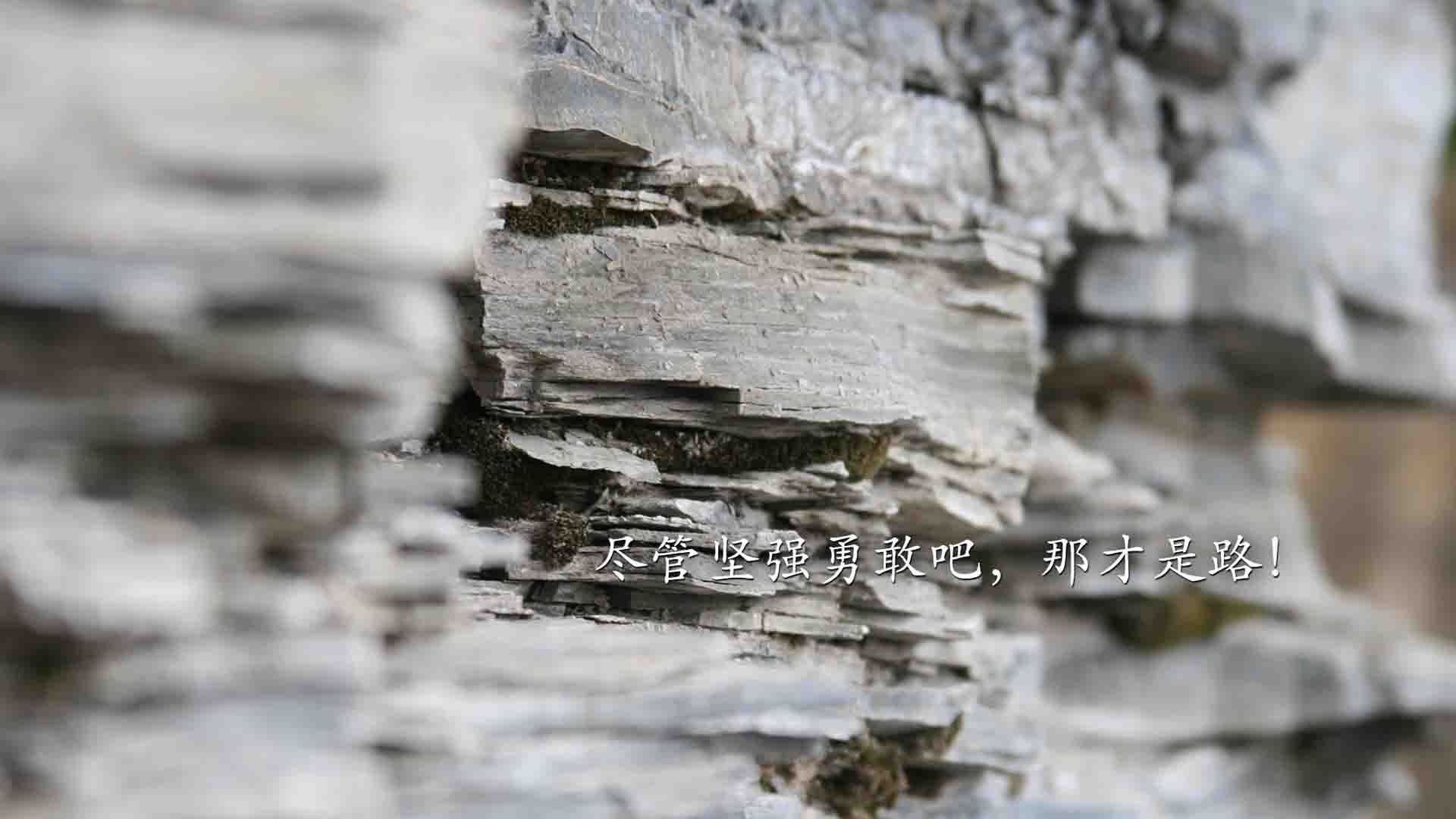 九游官网主页-青年崛起:新星在比赛中的爆发引爆看点,青年要崛起