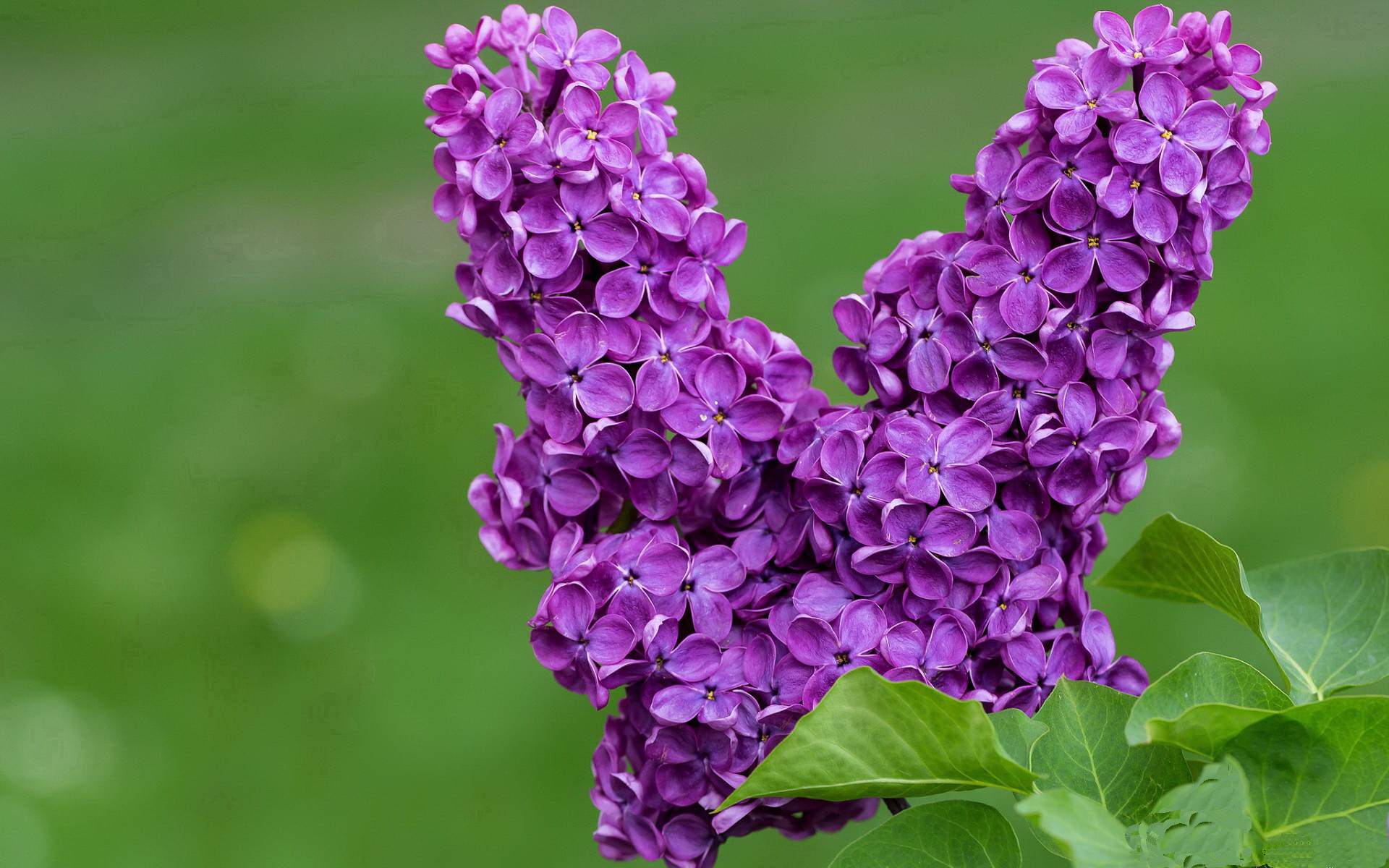 九游app官网下载-拜仁五秒反抢机制效果显著，拜仁踢法