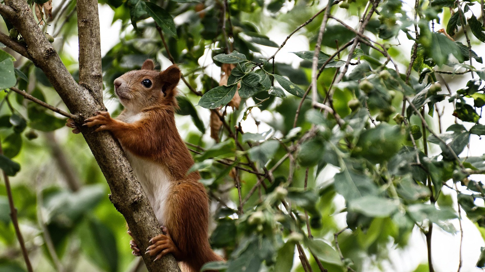 -世界级足球明星今昔对比,展现成长轨迹,世界足球明星50名名字