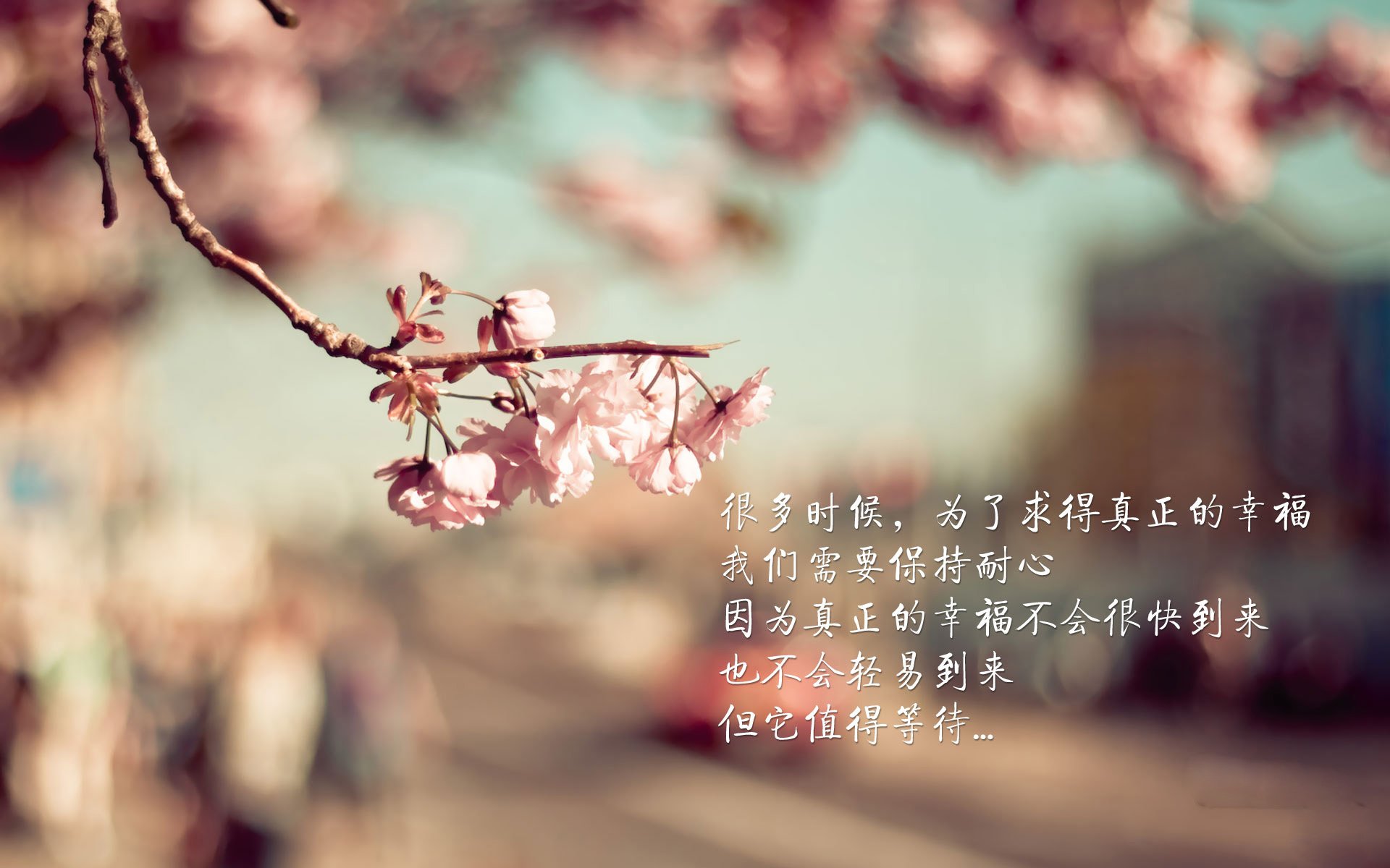 九游游戏中心官网-中国足球管理机制改革试图摆脱行政干预痕迹，足球改革20多年来,几位足球管理中心