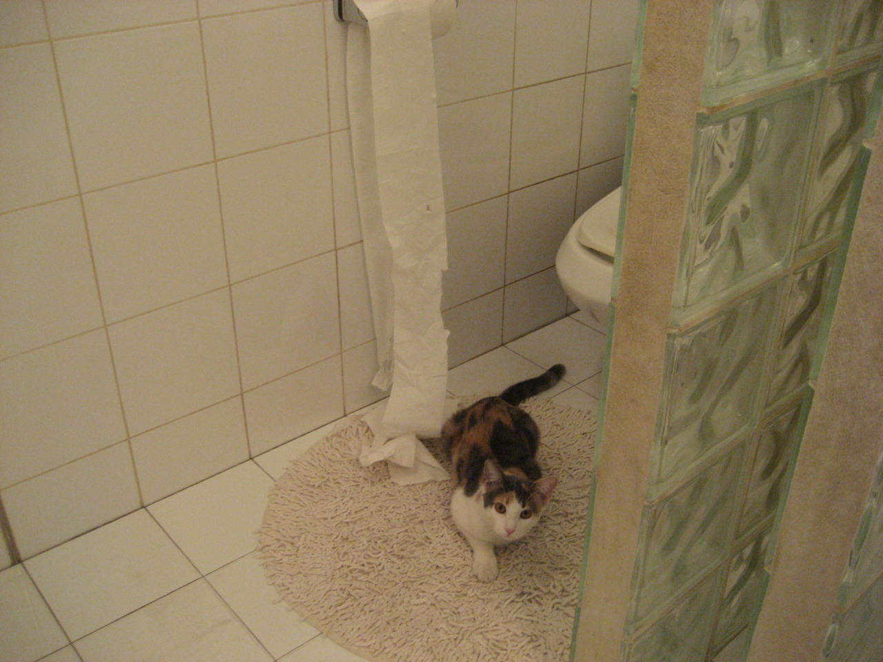 九游网页版官网-伊丽莎白·德克斯决赛表现稳定赢得掌声,德国伊丽莎白