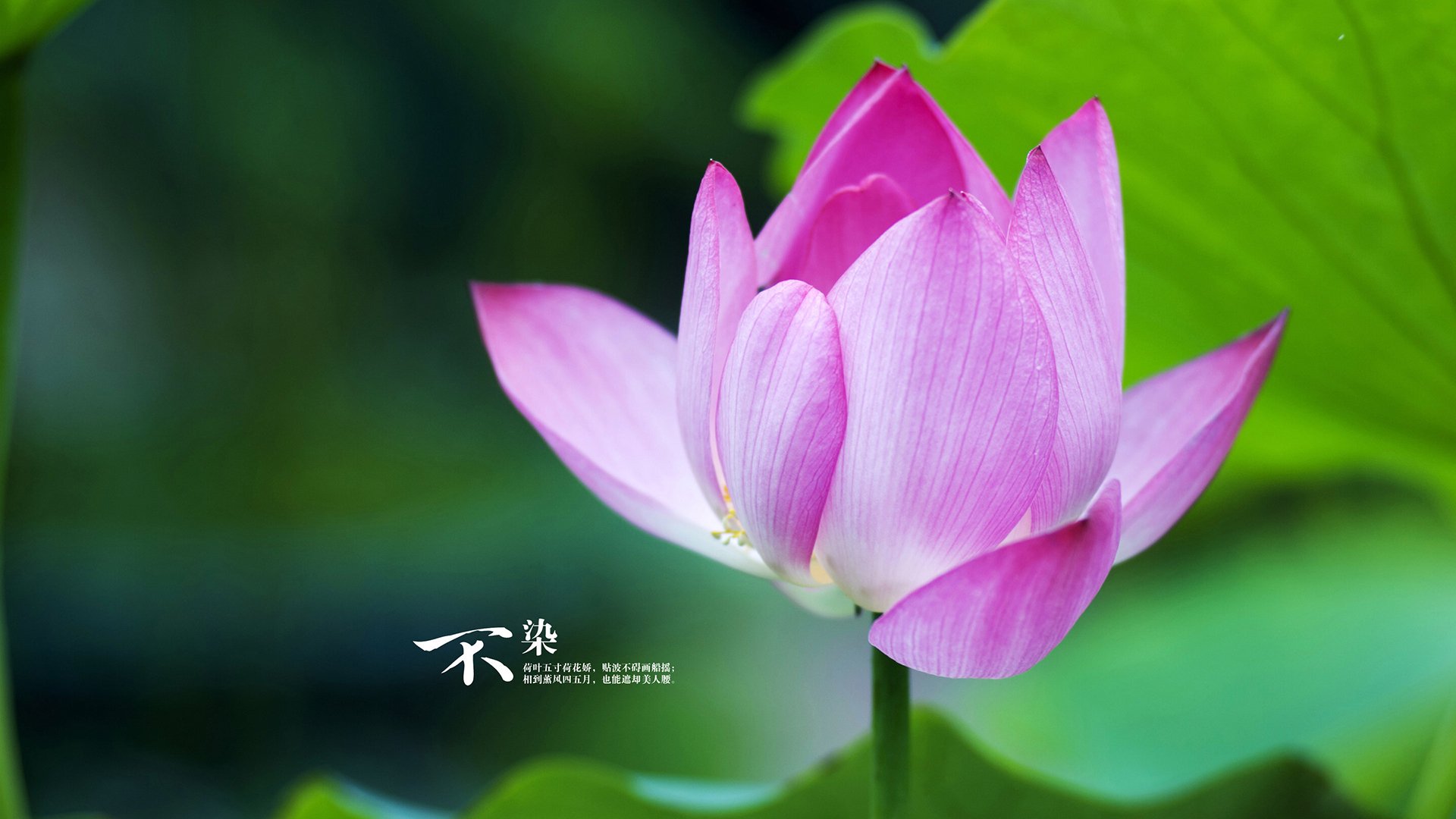 九游下载中心-穆里尼奥拒绝回应转会传闻,穆里尼奥接受采访